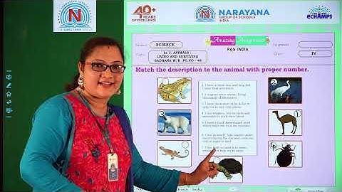 14TH OCT AP & TS CLASS IV SCIENCE AMAZING ASSIGNMENT KEY