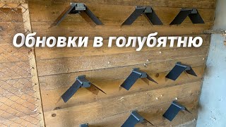 Прикупили обновки в голубятню / Николаевские голуби Андрей Животовский/