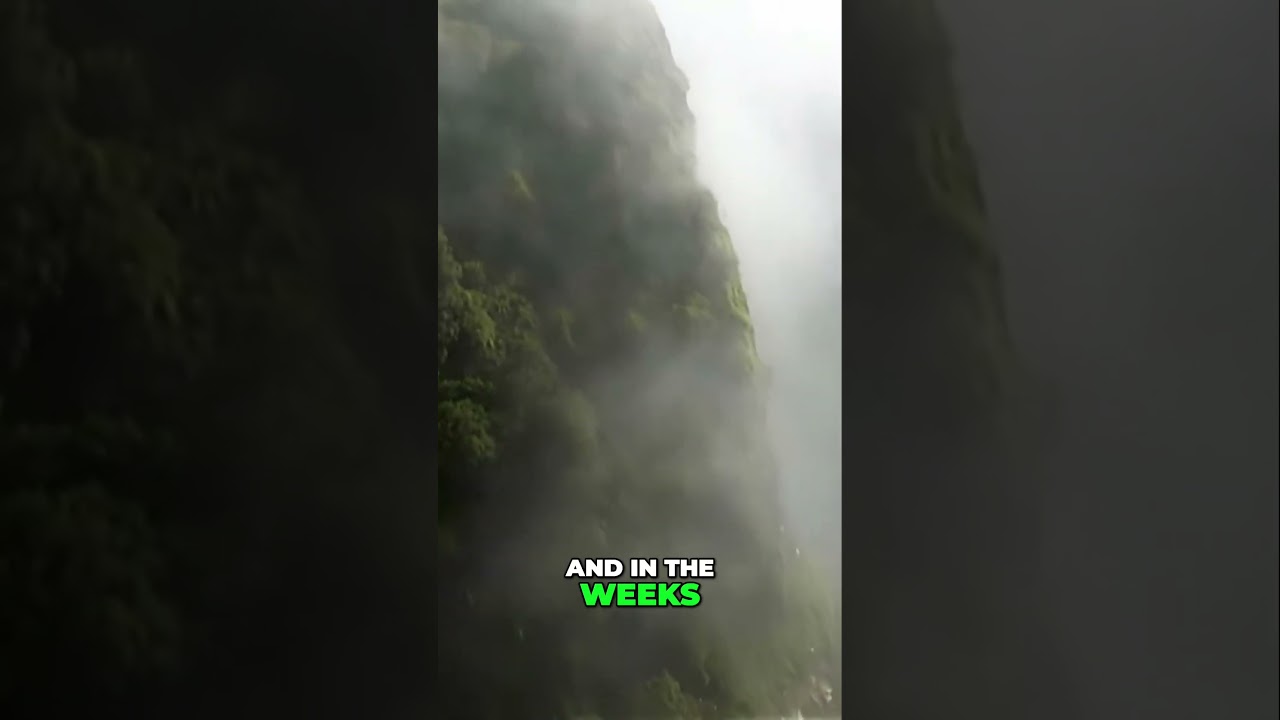 The Ultimate Journey for the Ultimate Shot Join Archie Nesbitt in the Quest for Bowhunting Achieveme