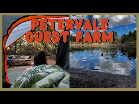 CAMPING | Petervale