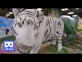 3D 180VR 4K White Tiger vs Tyrannosaurus Rex in ToysRus