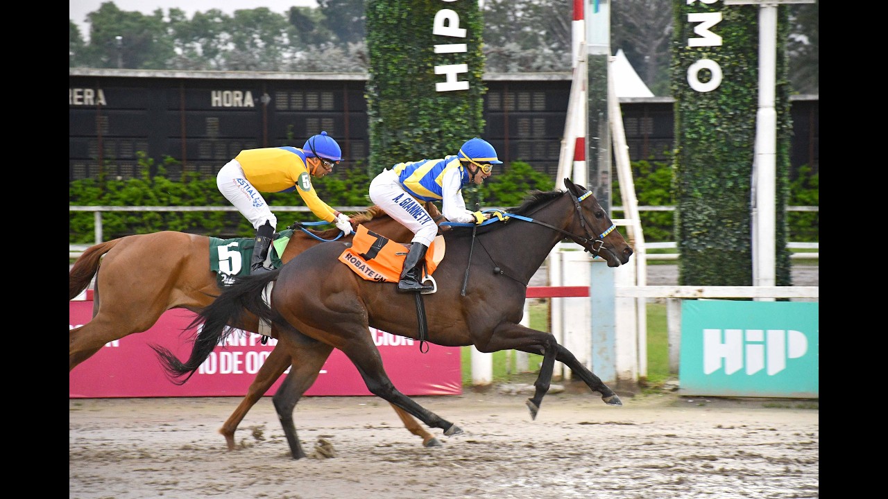 Robate Un Beso puso con Look At To Me en el Gran Premio Selección
