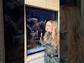 7590146208908299533#viralvideo #ytshorts #foryoupage #fyp#usa#shorts