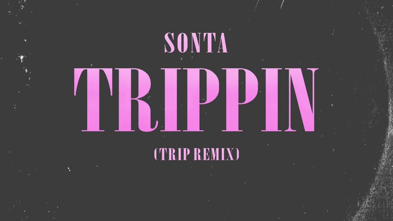 trip song remix