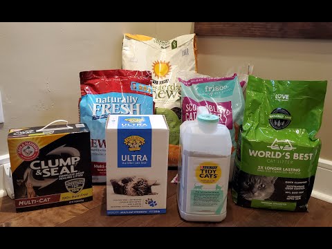 Video: Cat Litter Anmeldelser: Brand Reviews og The Best Clumping Cat Litter