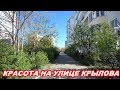 АНАПА 21.04.2020  КРАСОТА НА УЛИЦЕ КРЫЛОВА