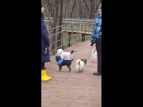 ОДИНОКИЙ МУЗЫКАНТ - YouTube
