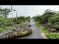 Anaconda snake 7 in real life  tb films