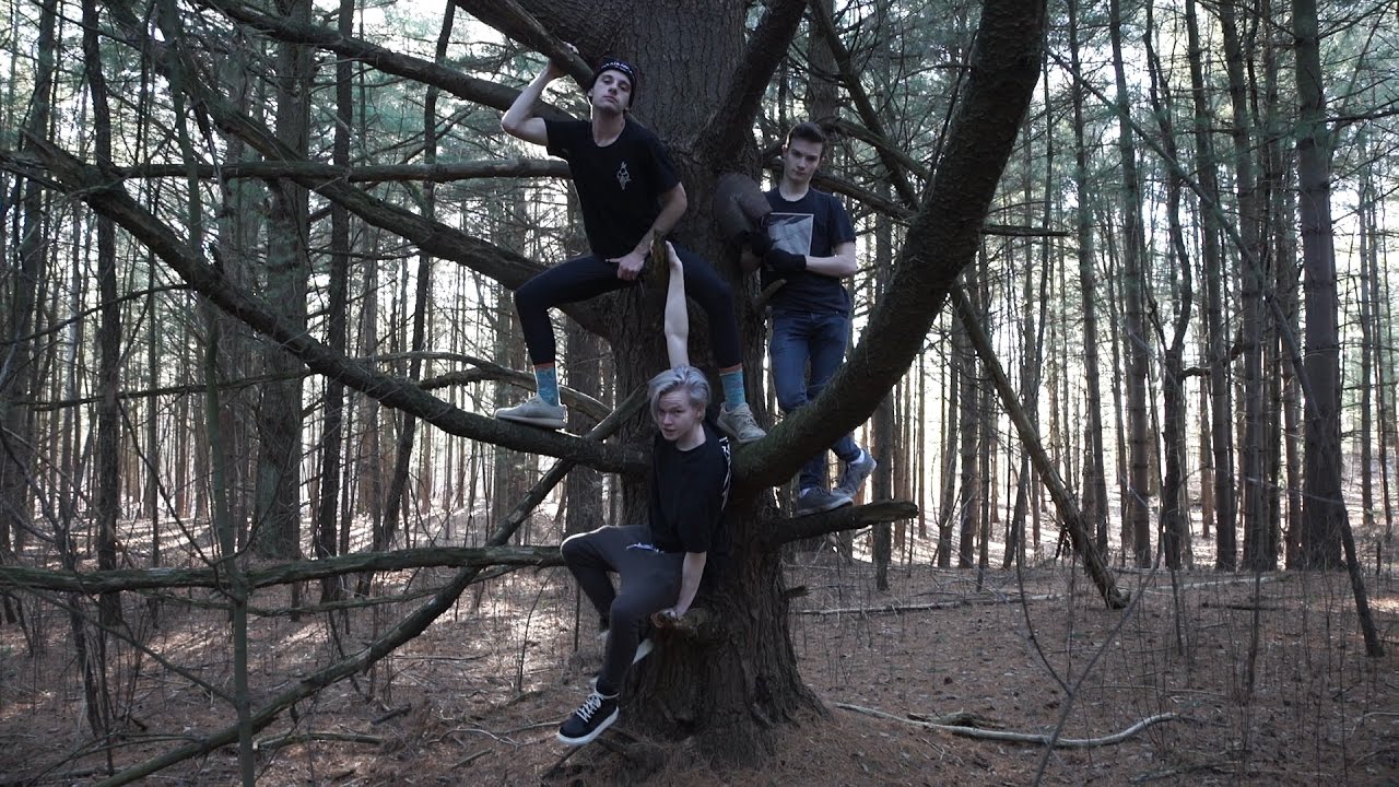 Can you cut down a tree with a shovel? Wednesdays with Ben YouTube