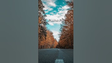 يَقُولُونَ يَٰلَيۡتَنَآ أَطَعۡنَا ٱللَّهَ وَأَطَعۡنَا ٱلرَّسُولَا۠ || #سورة_الاحزاب #محمد_اللحيدان