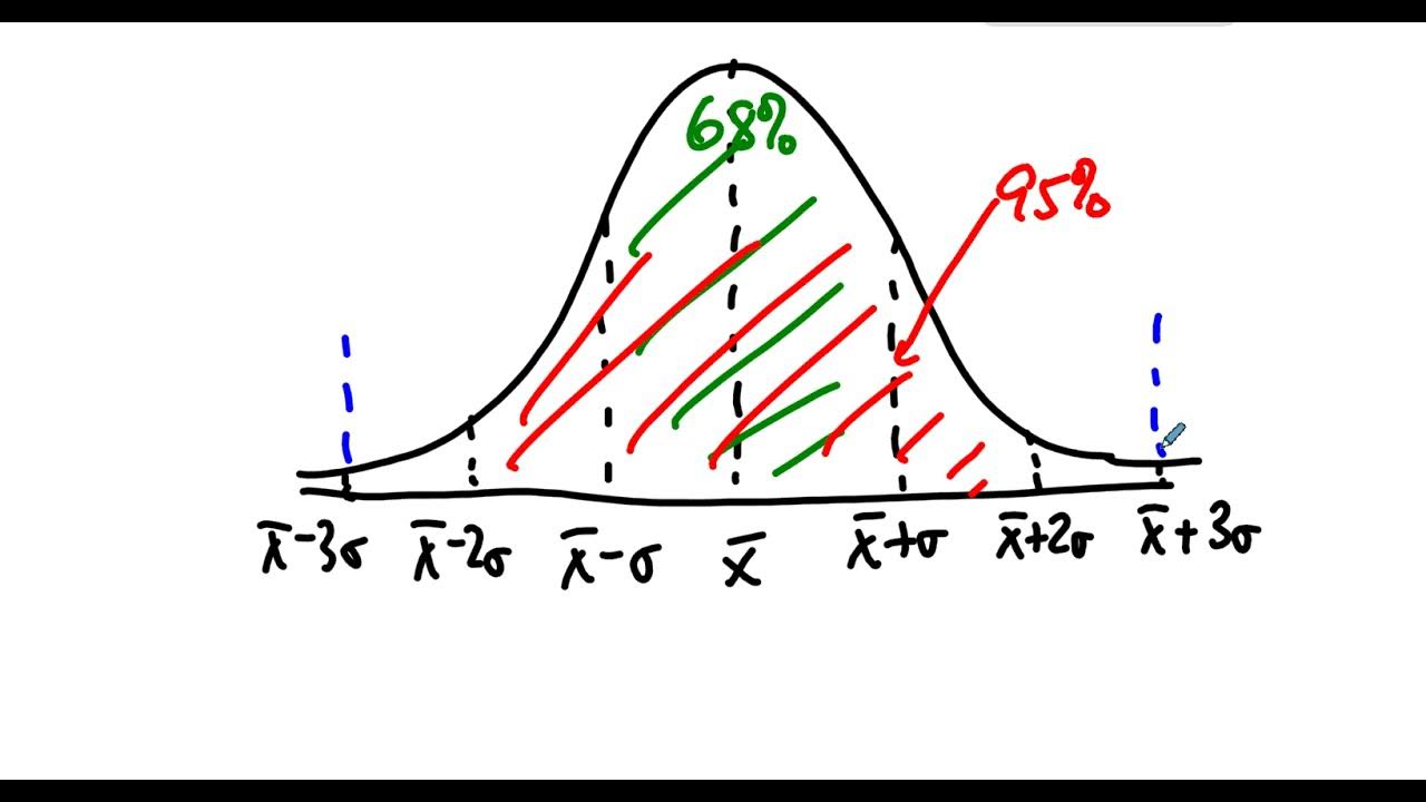 INTD301 Examples Normal Distribution YouTube