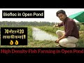 70 मीटर में 20 लाख की कमाई || Biofloc in Open Pond || High Density Fish Farming || Hello Kisaan