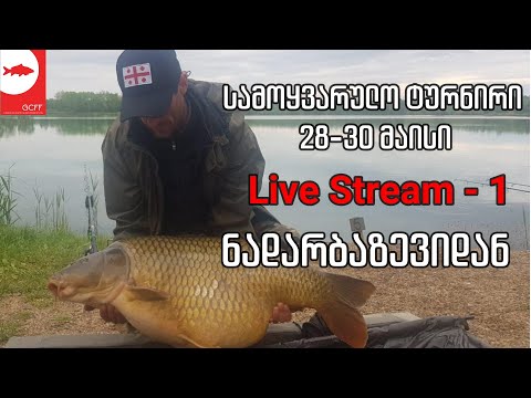 Live Stream სამოყვარულო ტურნირი (28-30 მაისი)  - დღე 1
