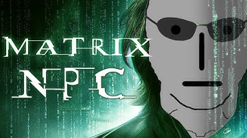 NPC ruins The Matrix