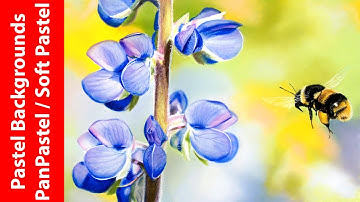 How to - Soft Pastel and PanPastel  Bokeh Blurry Background