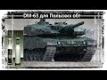 Закупка DM-63 для Польских Leopard-2 PL.