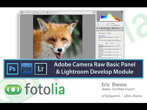 Adobe Camera Raw Basic Panel and Lightroom Develop Module