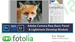Adobe Camera Raw Basic Panel and Lightroom Develop Module