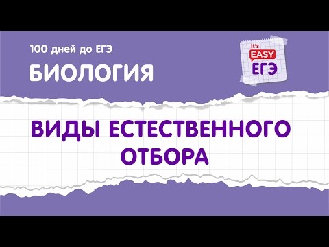 ЕГЭ по биологии. Виды естественного отбора.