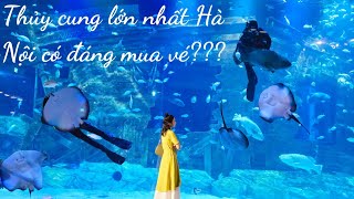 Tham quan thủy cung Lotte Tây Hồ_Lotte World Aquarium Hanoi tháng 5/2024 có những gì?