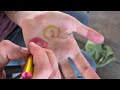 This face paint works just like crayons!