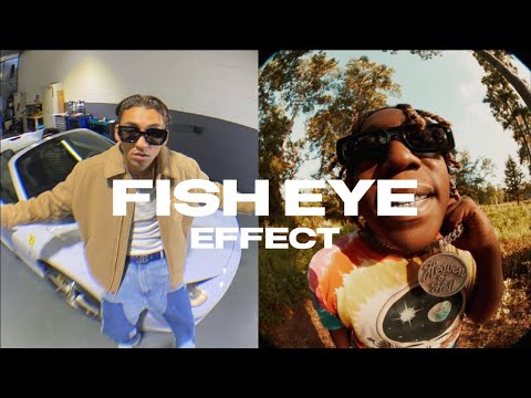 Create the FISH