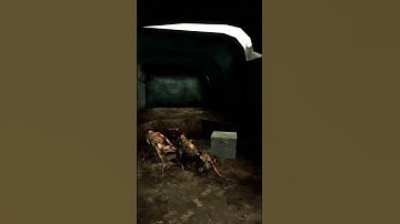 Kan ik overleven in de laadbak van een exploderende nucleaire vrachtwagen? #fallout3