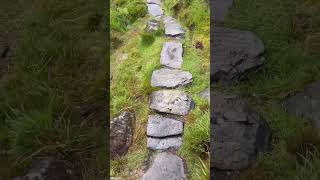 DIAMOND HILL CONNEMARA | #shorts