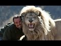 Lion Man: Kevin Richardson | South Africa
