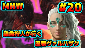 歴戦ヴァルハザク ライトボウガン 歴戦ヴァルハザク ライトボウガン