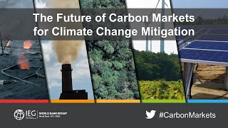 The Future of Carbon Markets for Climate Change Mitigation, February 5, 2019