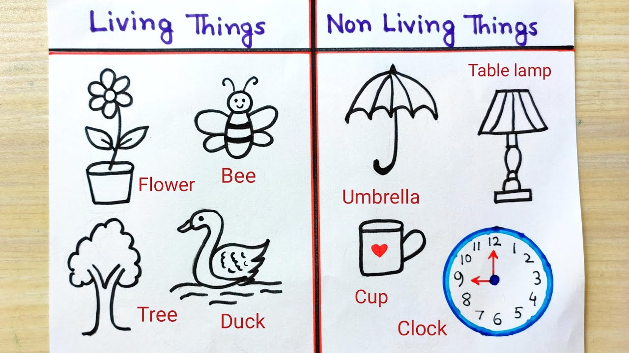 Living and non- living things sketch easy idea|How to sketch of ...