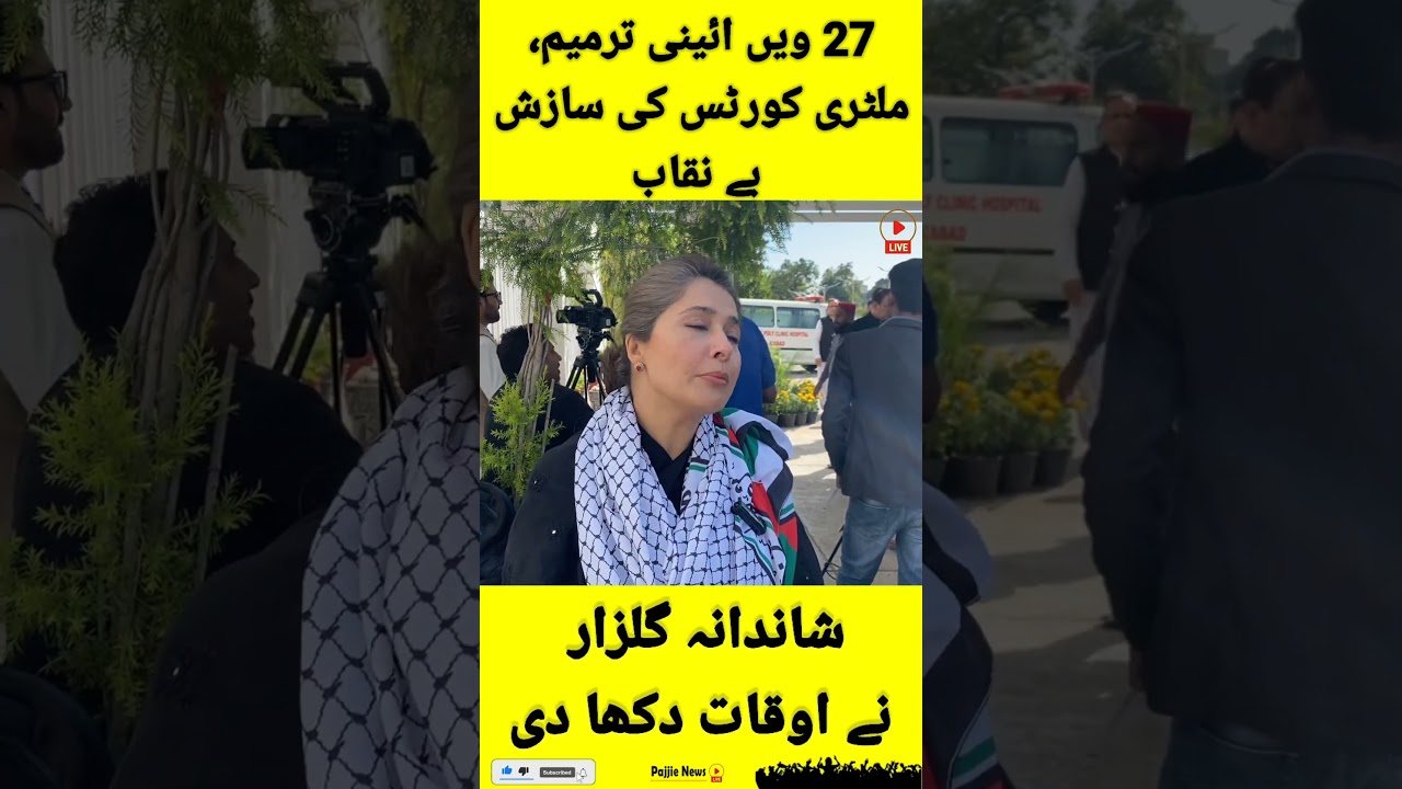 Shandana Gulzar Response about 27 Constitutional Amendment & PTI Assembly members | Pajjie News