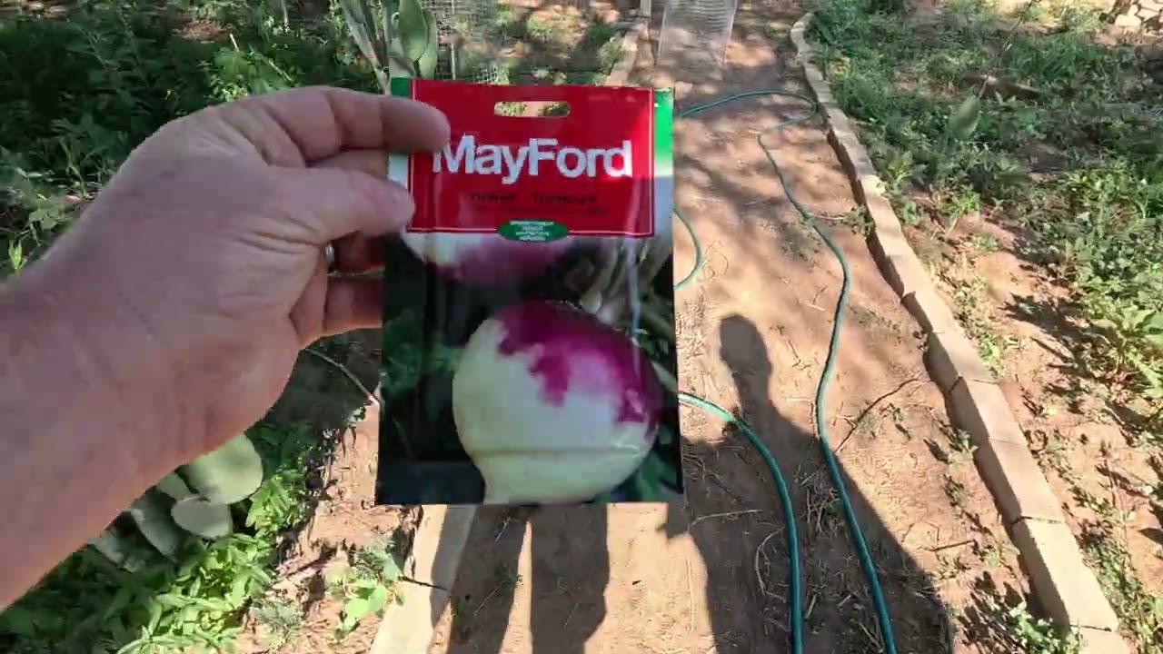 How We Use $50 to Spread Permaculture in Africa