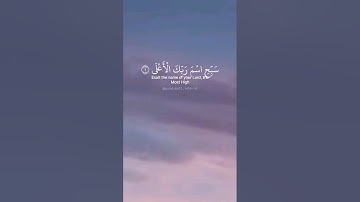 سبح اسم ربك الأعلى الذي خلق فسوى. ماتيسر من سورة الأعلى بصوت القارئ عبد الرحمن مسعد