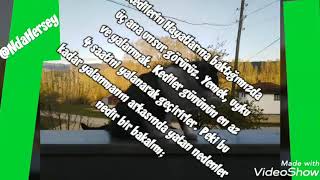 Kedilerin Yalanma Nedenleri