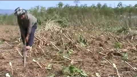 Khawb qos ntoo(2015-2017)