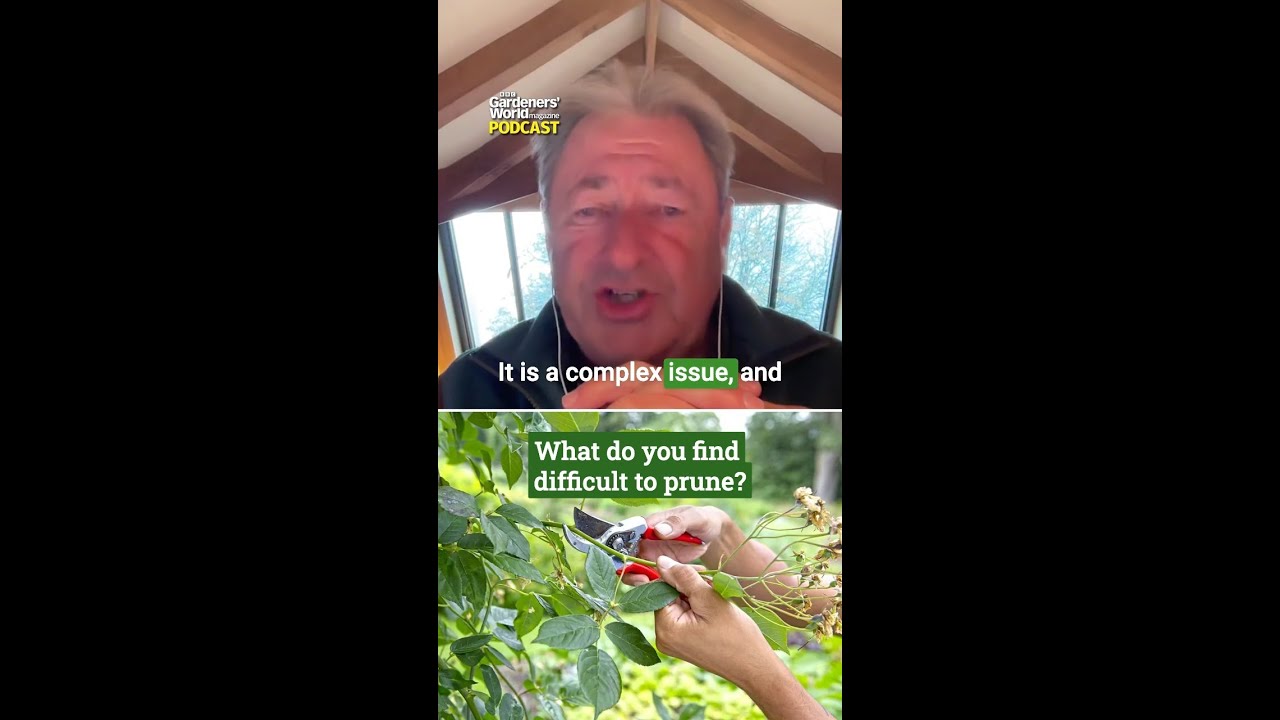 Your pruning questions answered