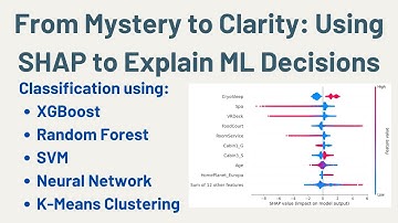 From Mystery to Clarity Using SHAP to Explain ML Decisions