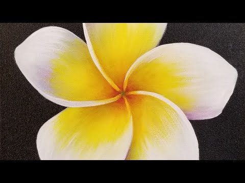 Video: Plumeria Rossa