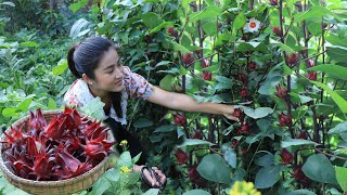 You ever seen this flower at your place? / Luoshen flower recipe / Sweet and sour '' plant ruby''