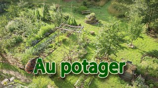 Quoi de neuf au jardin mi-juillet ? Tour du potager