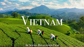 Vietnam 4K  Scenic Relaxation Film With Calming Music