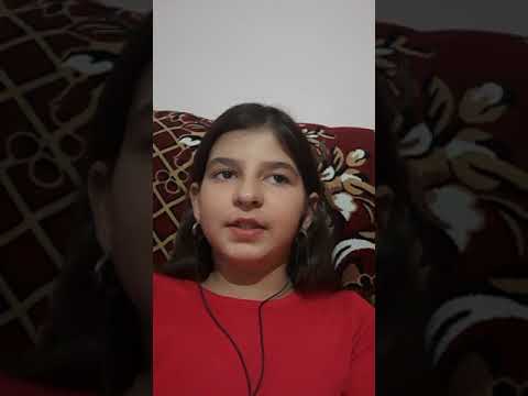 CNTA NICOLAIE GUTA HAI AN MERCEDES AI AN AVION