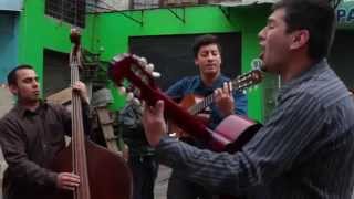 Los Metayponga - Un Cojo La Revolvía