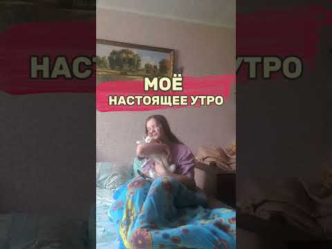 моё настоящее утро