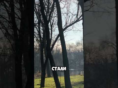 #истории #интересно #познавательно