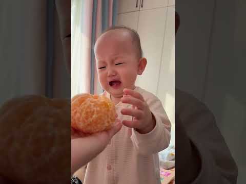 Babe Very Engry Mood Oraing Food Tim But To Lait Funny Trendingshorts