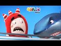 Oddbods | Bebê Tubarâo | Desenho Infantil | Oddbods Brasil