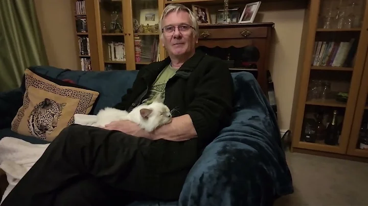 Watch the video about Stanley the lilac Ragdoll kitten